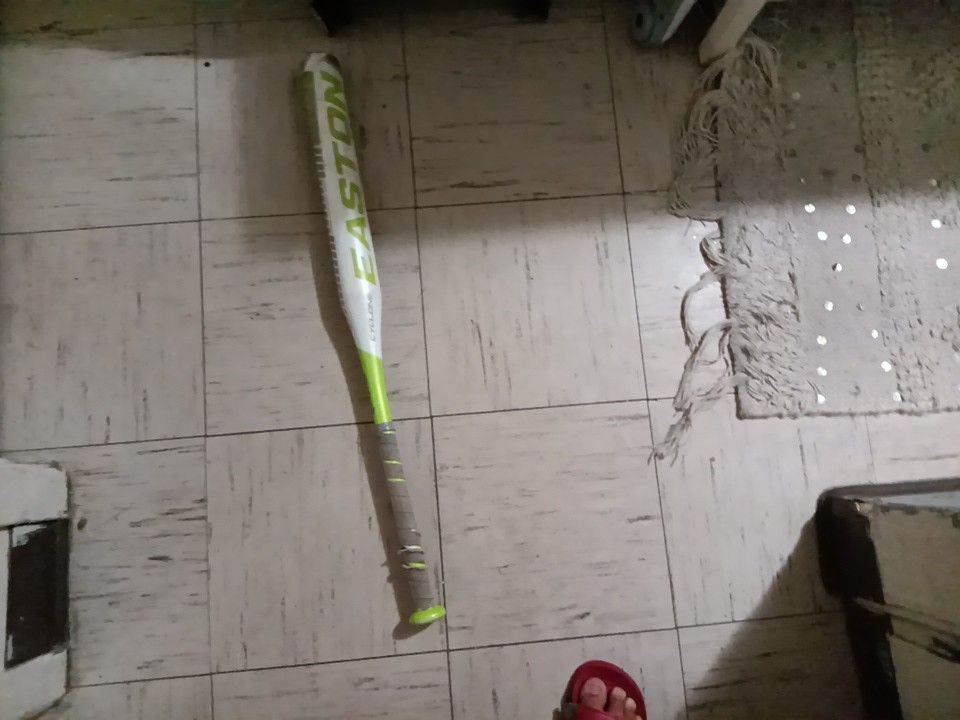 Bat For Sale