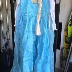 Child Halloween Costume -  Frozen Elsa