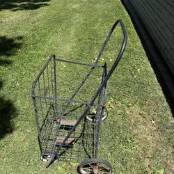 push cart 