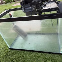 Fish tank And Filter Included
