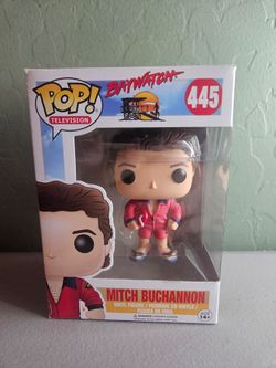 Mitch Buchannon from the original bay watch