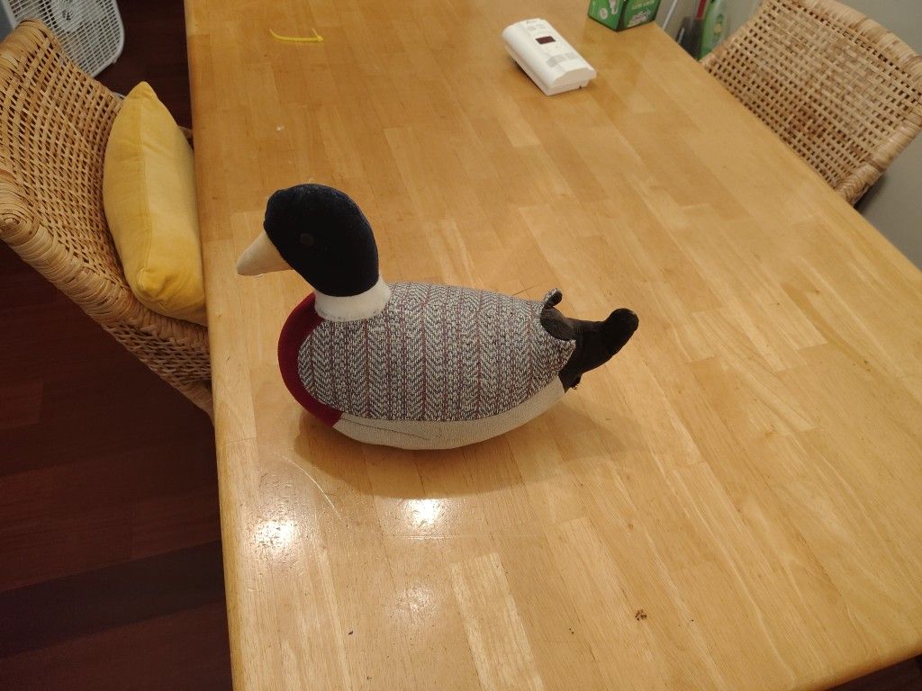 Decorative Duck
