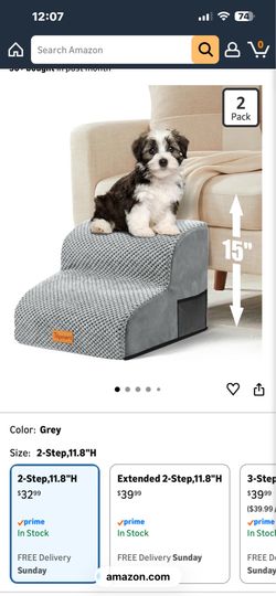 Small dog ramp