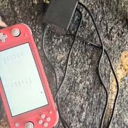 Nintendo switch lite
