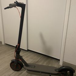 Electric Scooter
