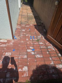 Bricks 100+