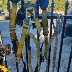 Fall Tech Harness & 6ft Lanyard 
