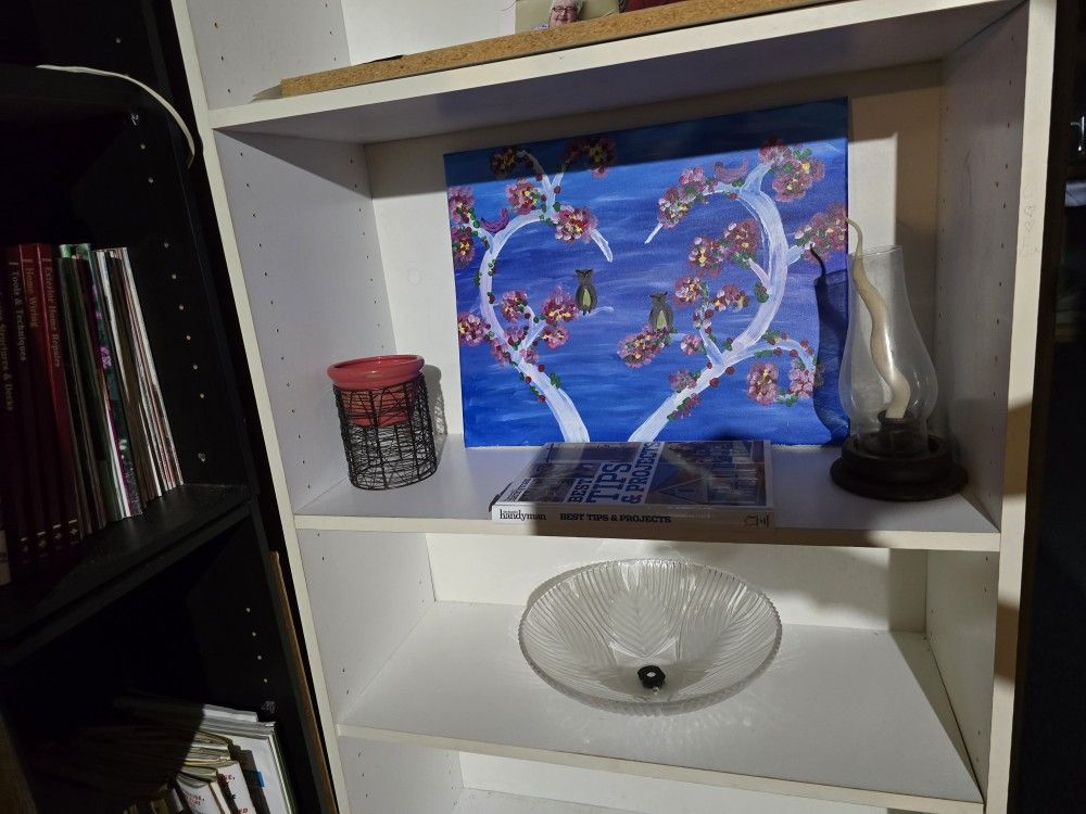 Miscellaneous Household, Collectibles, Storage, Workout Bench W/weights, Etc
