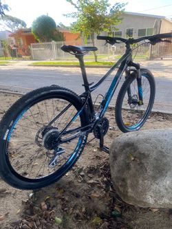 Maxxis Liv Bike