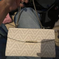 ALDO Bag