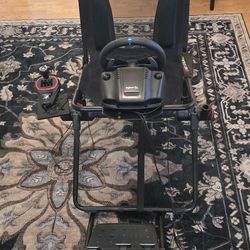 Logitech G29 W/ Pedals Thrustmaster TH8S & Next Level Cockpit