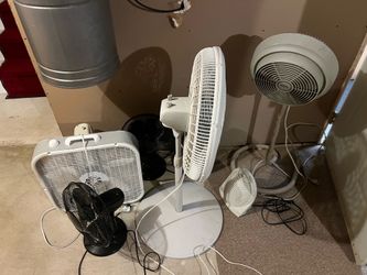 Fans