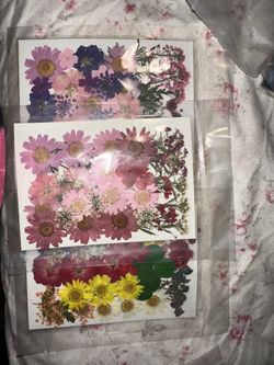 Dried Flowers For Arts And Crafts