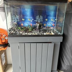 Fish Tank