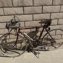 1983 Nikishi Olympic 12 Bike For Sale 