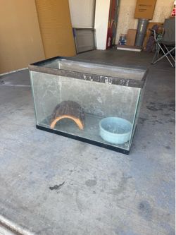 Glass Terrarium