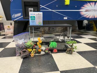 10 Gallon Tank With Filter, Heater, LEDs, And Bubbler!