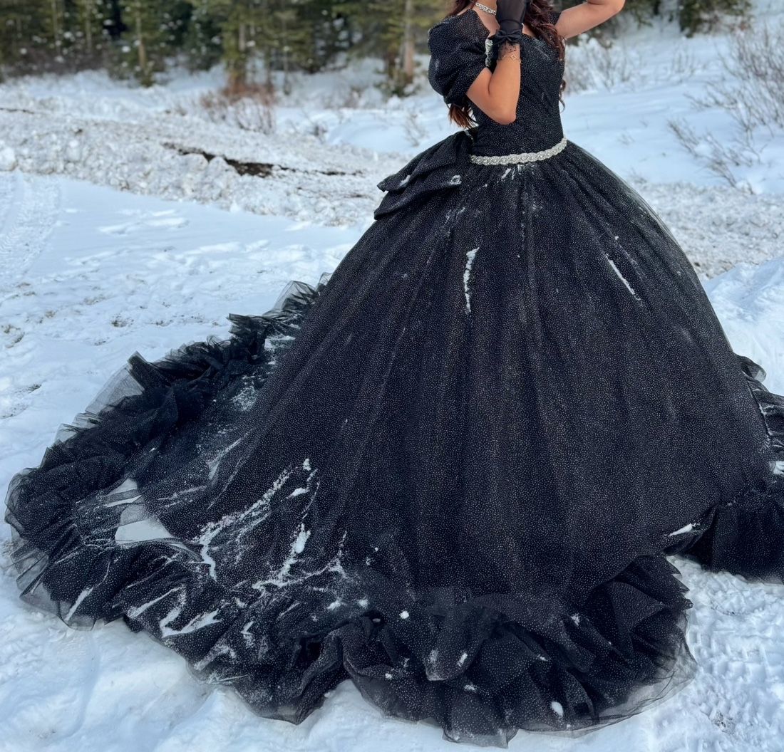 Black Shimmery Quinceanera Dress 