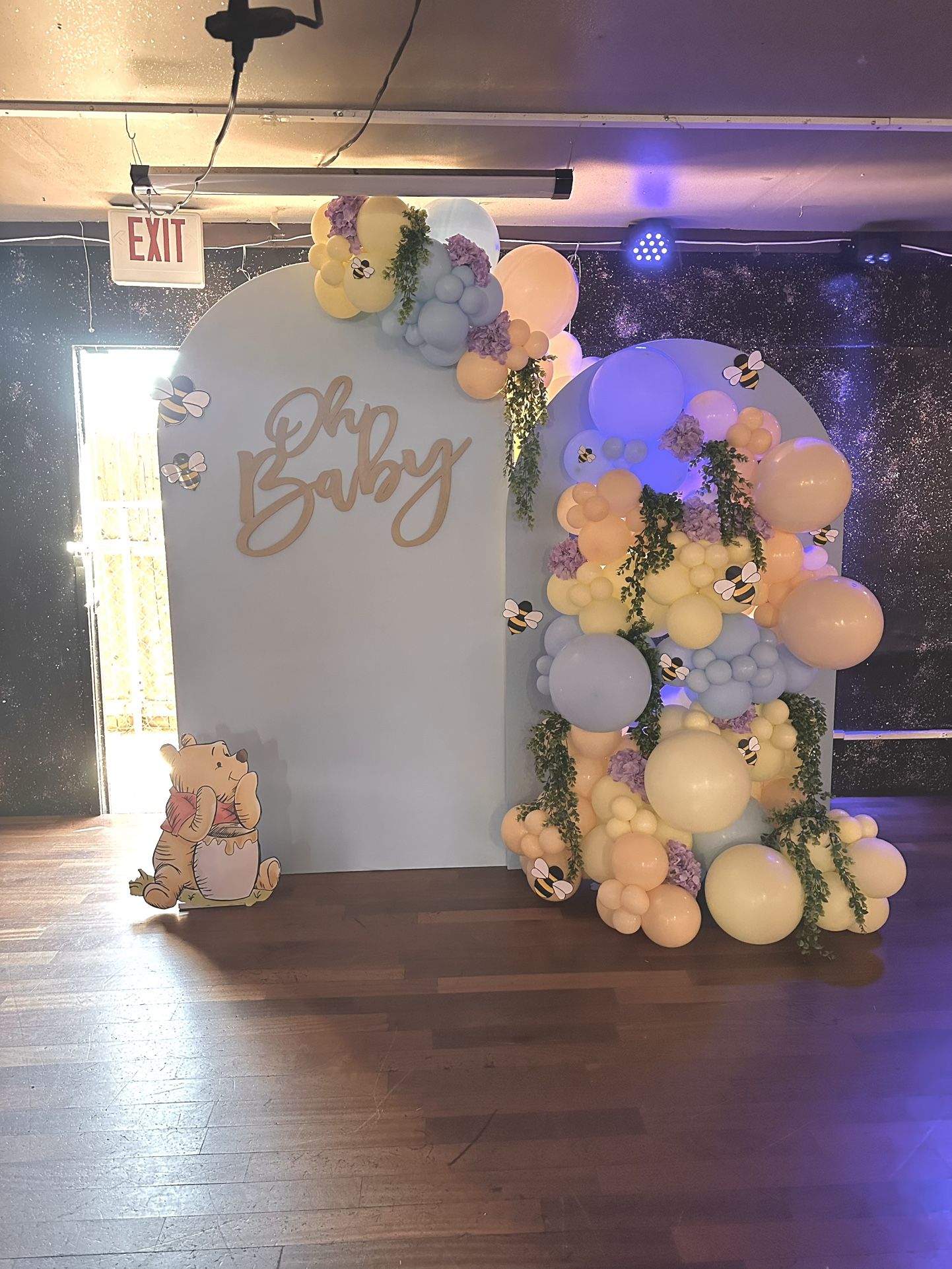 Winnie The Pooh Backdrop