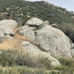 Large Boulder Landscaping Rocks Home Pool Business