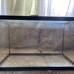 Fish Tank With Small Filter
