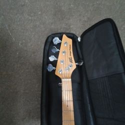 5 string Bass Ex Shape W Gig Bag