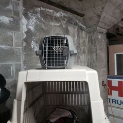 Dog and cat crates and dog houses cat houses