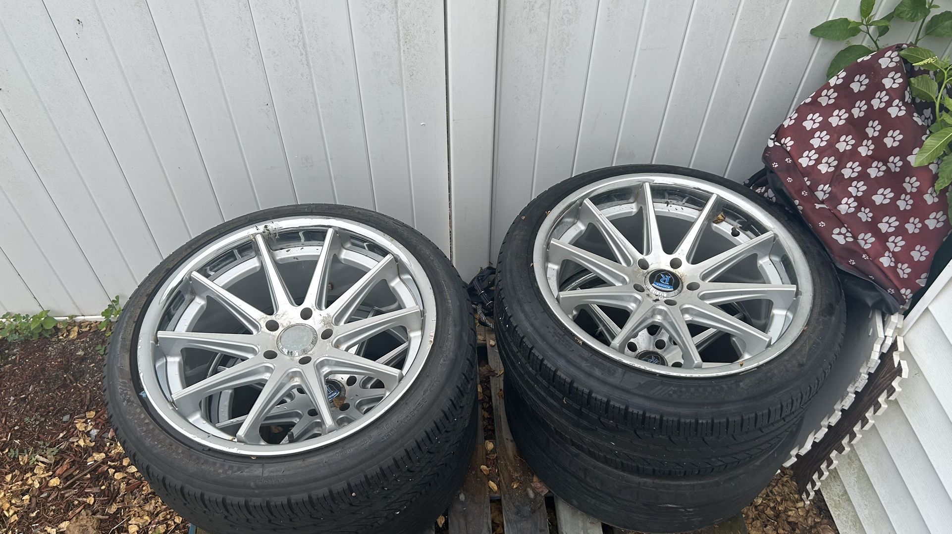 ROHANA CHROME RIMS STEALL !!