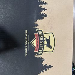 Steel Toe Boot/ Red Wing