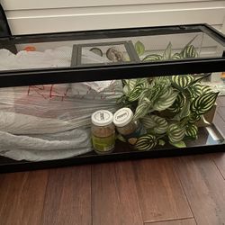 20 gallon Reptile Tank with Accessories