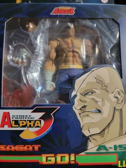 Street fighter alpha 3 storm arena set