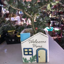 Succulent Welcome Home Pot 