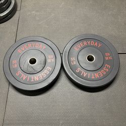 Bumper Weight Pairs 