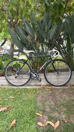 Bianchi Volpe