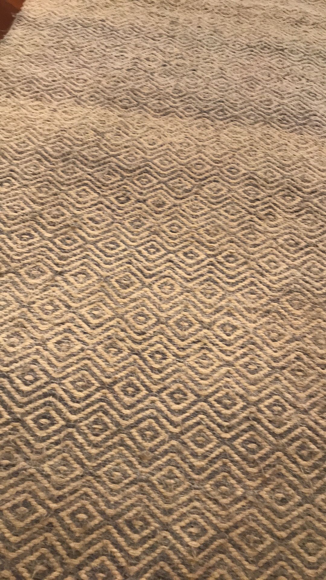 SERENA & LILY TURNSTONE RUG RUNNERS / SET OF 2 for Sale in Newport