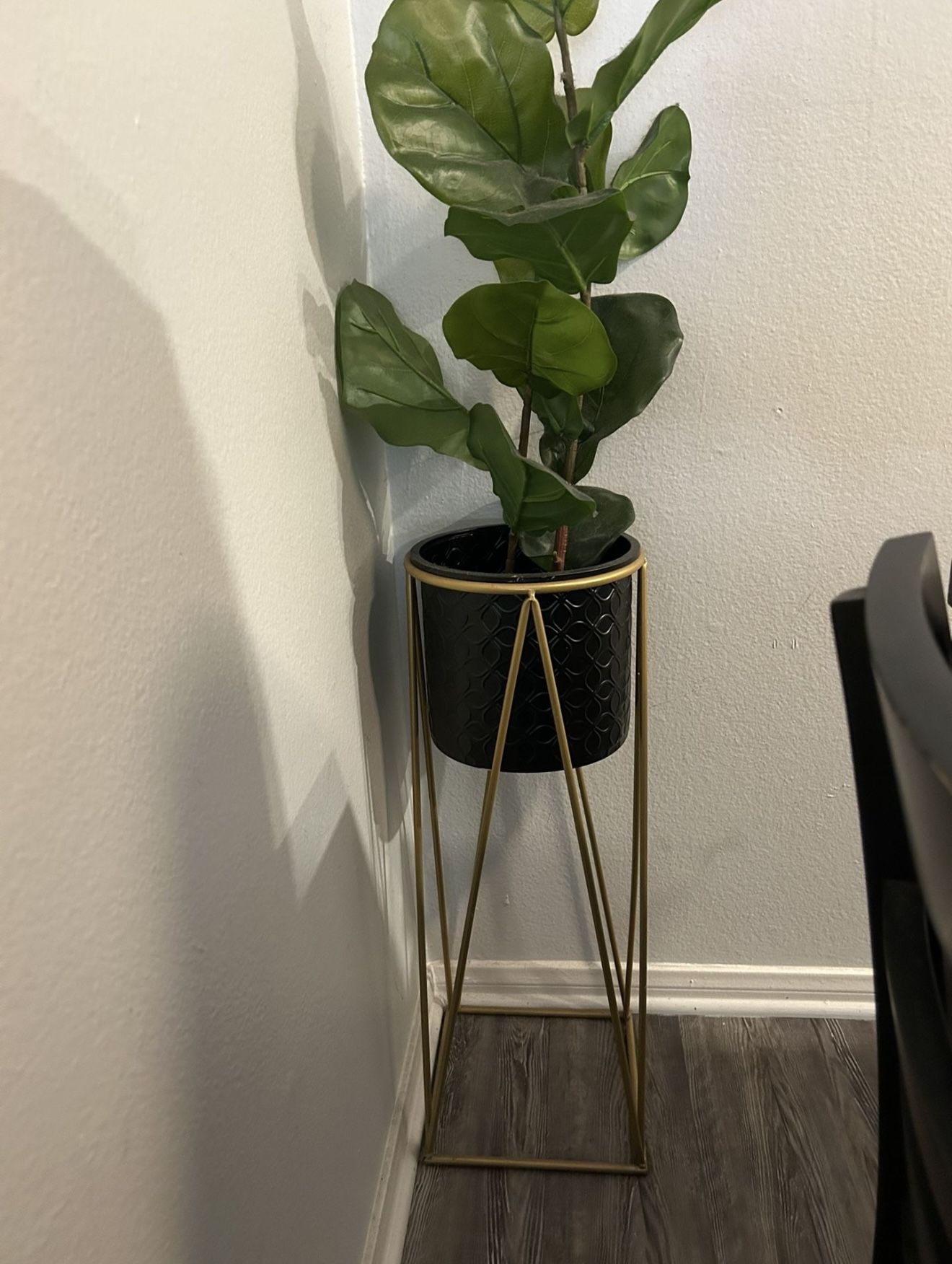 Plant With Holder