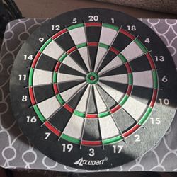 Heavy Duty Dart Board