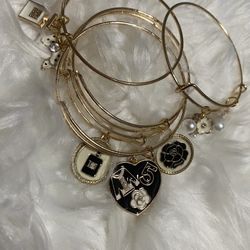 No .  5 Blue & Gold Charm Set