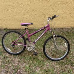 Girls Bike 24” Road master
