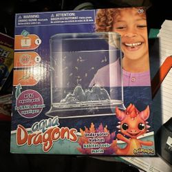 Auqua Dragons 