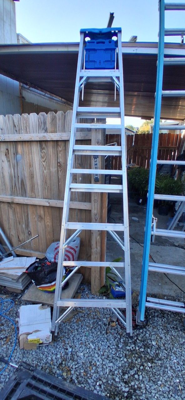 8ft Werner Ladder