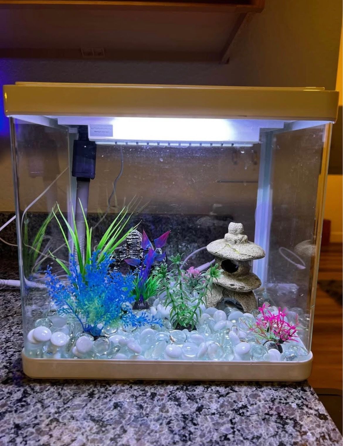 Imagitarium 5 Gallon Fish Tank