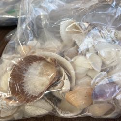 Shells