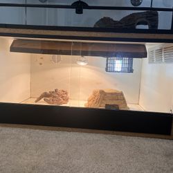 wood terrarium for reptiles 