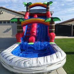 Available For This Saturday Disponible Para Este Sabado