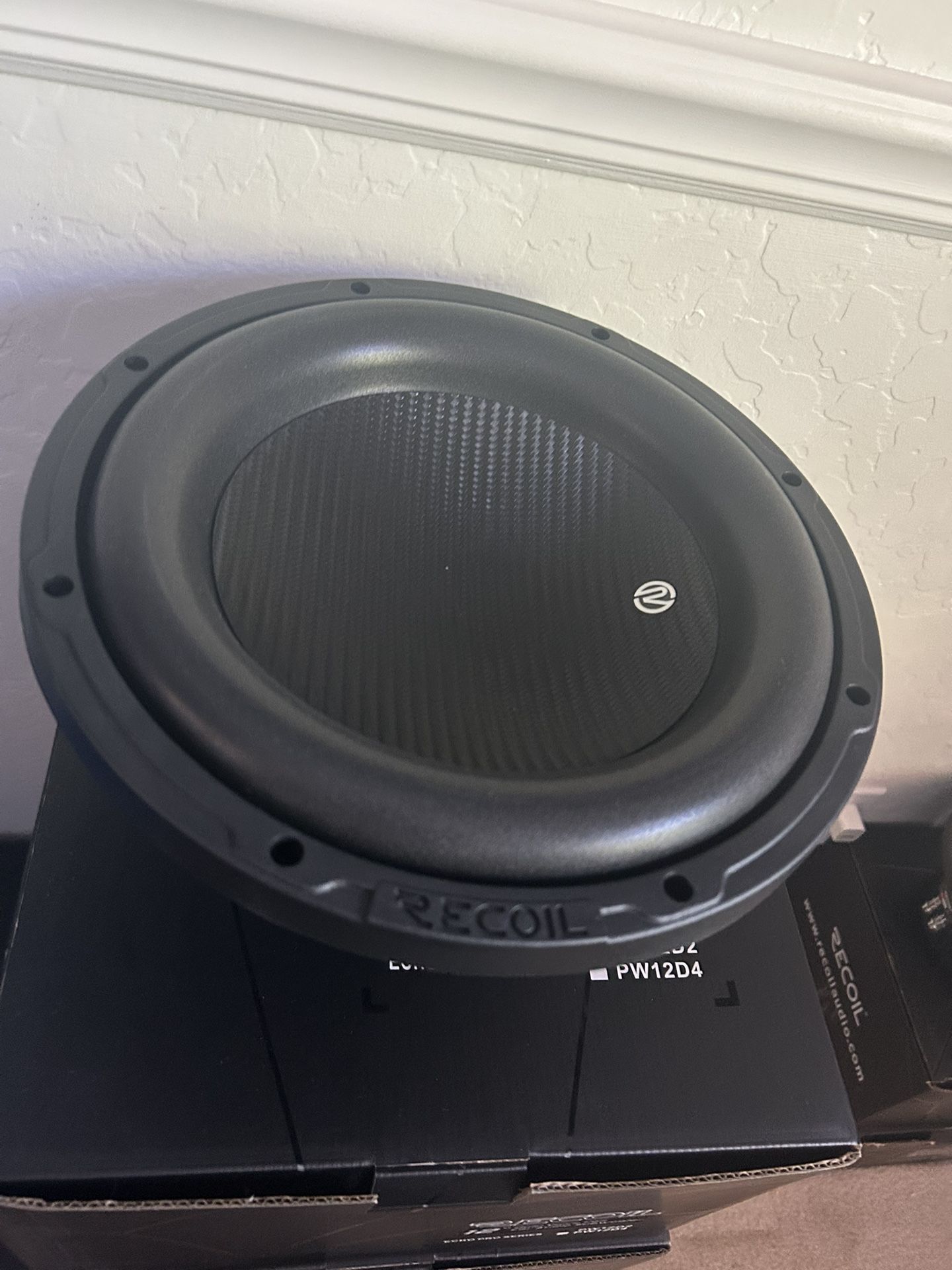 12” Subwoofer