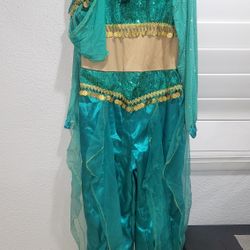 Belly Dancer Costume