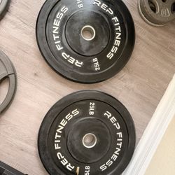 25 lb Iron Plates – Great Condition