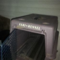 Kennel 