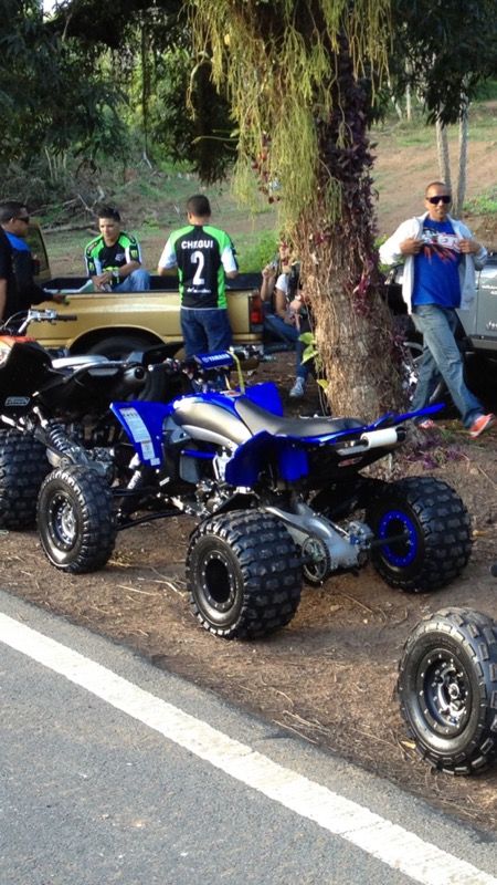 Yamaha YFz 450 09-15 Grab Bar Wheelie Bar
